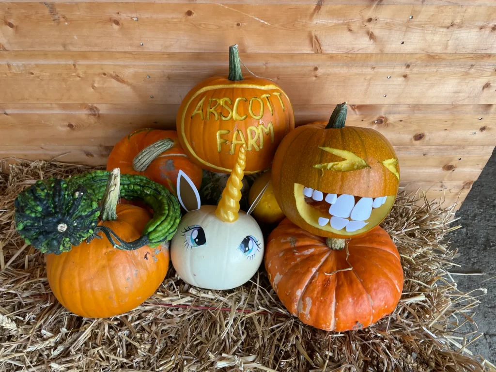 Outdoor activities Shrewsbury pumpkin picking