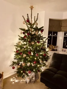 cust tree 14
