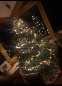 cust tree 16