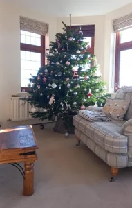 cust tree 17