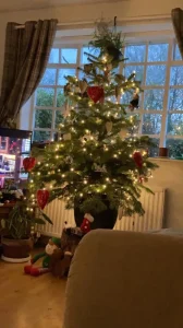 cust tree 8